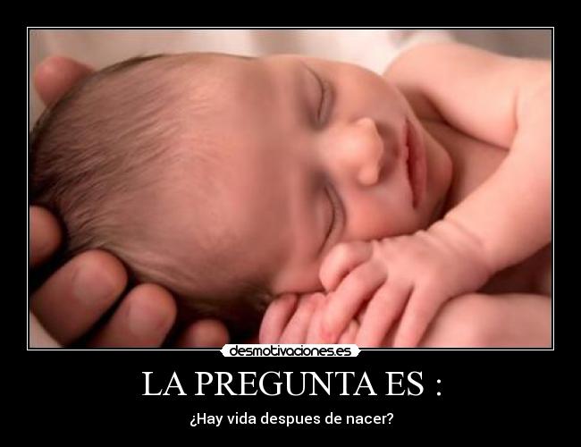 LA PREGUNTA ES : - ¿Hay vida despues de nacer?