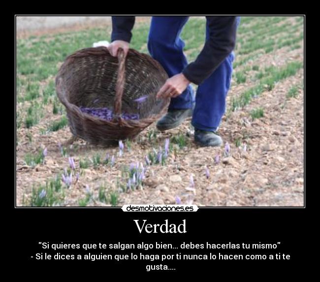 Verdad -
