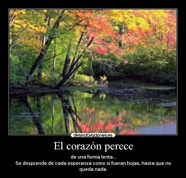 El corazón perece - de una forma lenta...
Se desprende de cada esperanza como si fueran hojas, hasta que no queda nada.