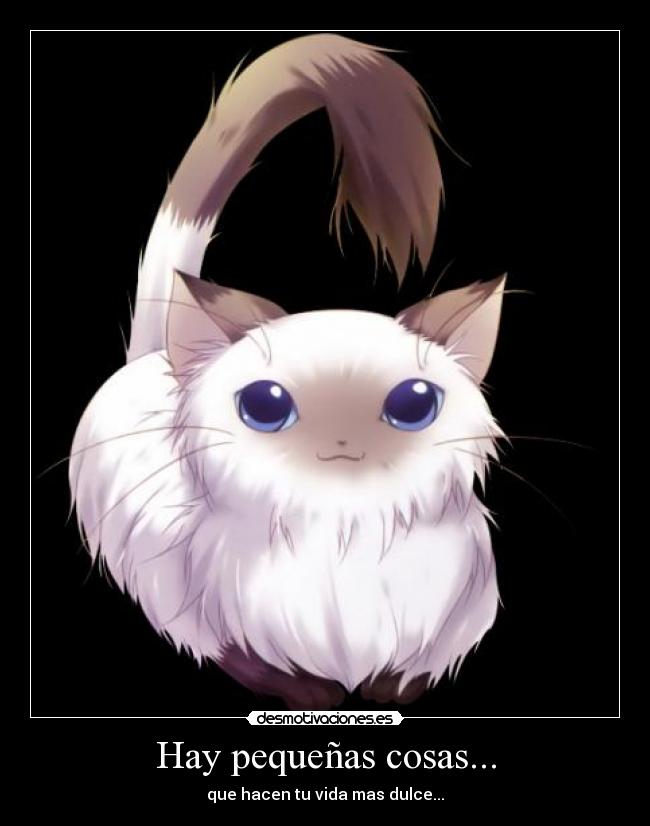 carteles que gatito mas wuapo bloodwolf desmotivaciones