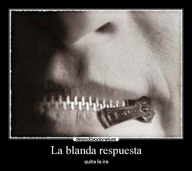 La blanda respuesta -