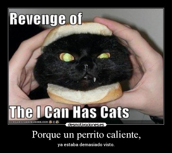 Porque un perrito caliente, - 