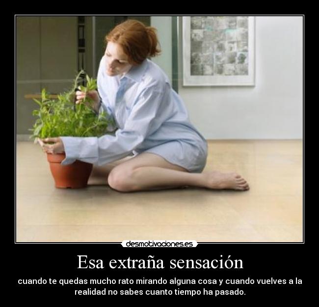 Esa extraña sensación - cuando te quedas mucho rato mirando alguna cosa y cuando vuelves a la
realidad no sabes cuanto tiempo ha pasado.