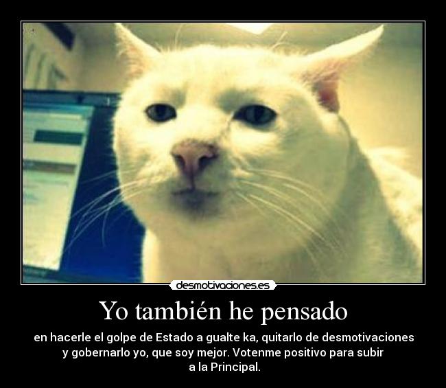 carteles nuevm tengo idea que significa nick haahhaa desmotivaciones