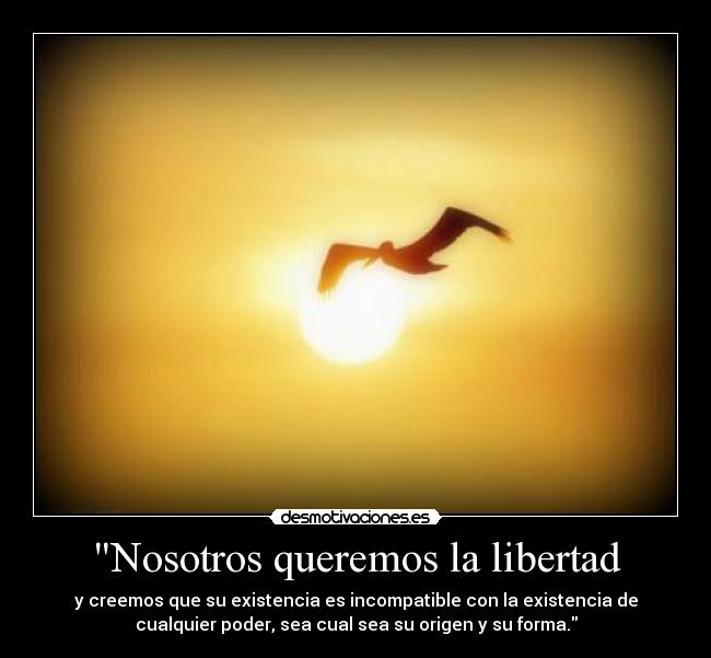 Nosotros queremos la libertad - y creemos que su existencia es incompatible con la existencia de
cualquier poder, sea cual sea su origen y su forma.