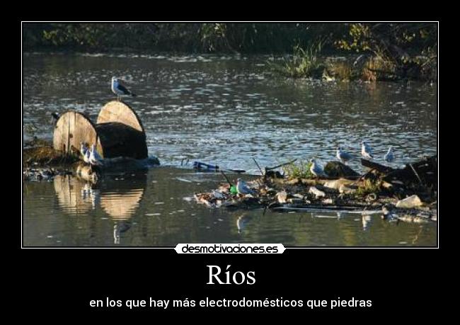 Ríos - en los que hay más electrodomésticos que piedras