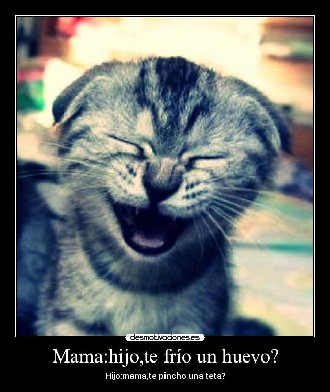 Mama:hijo,te frío un huevo? - Hijo:mama,te pincho una teta?