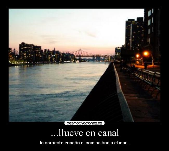 ...llueve en canal - la corriente enseña el camino hacia el mar...