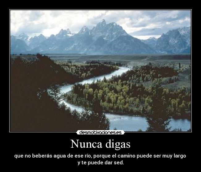 Nunca digas -