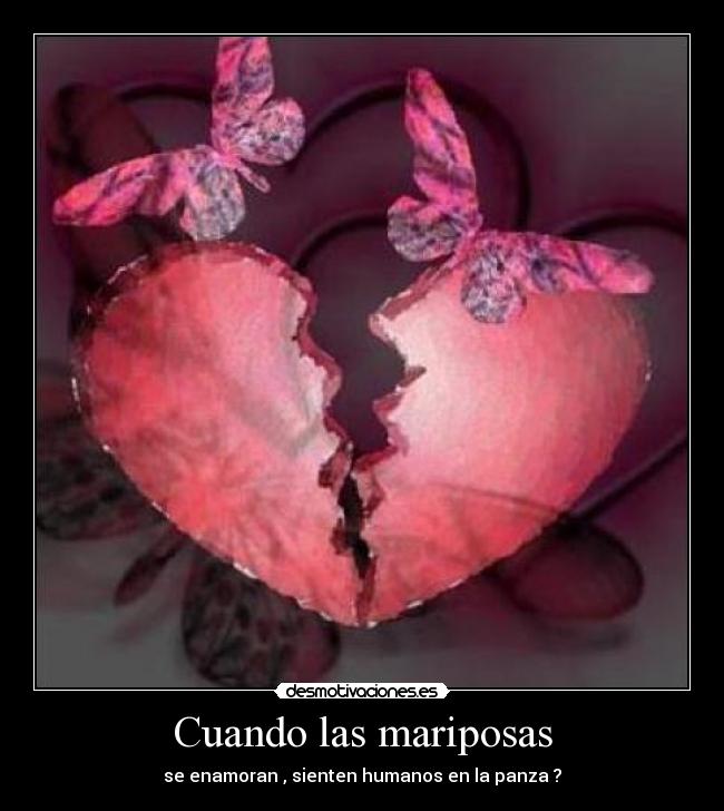 Cuando las mariposas - se enamoran , sienten humanos en la panza ?