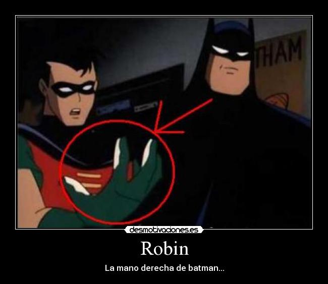 Robin -