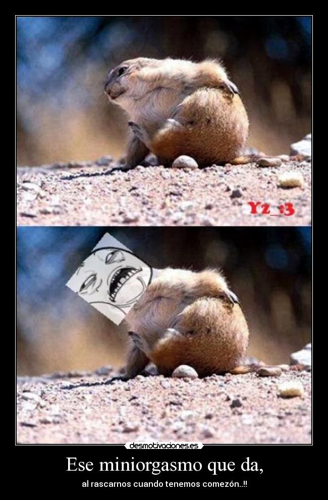 Ese miniorgasmo que da, - al rascarnos cuando tenemos comezón..!!