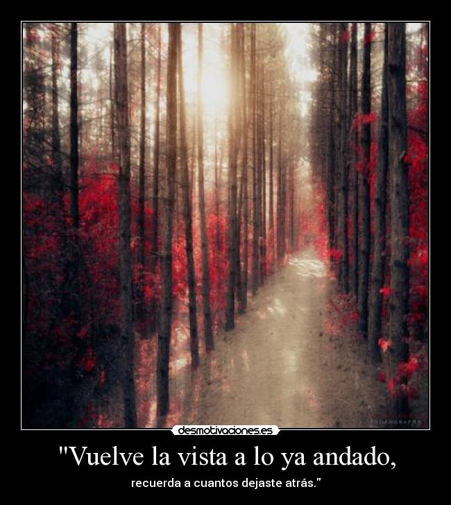 Vuelve la vista a lo ya andado, -