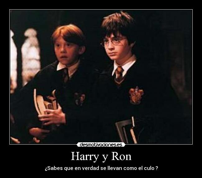 Harry y Ron -