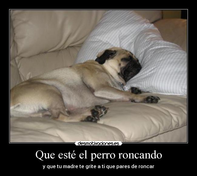 carteles perro roncando desmotivaciones