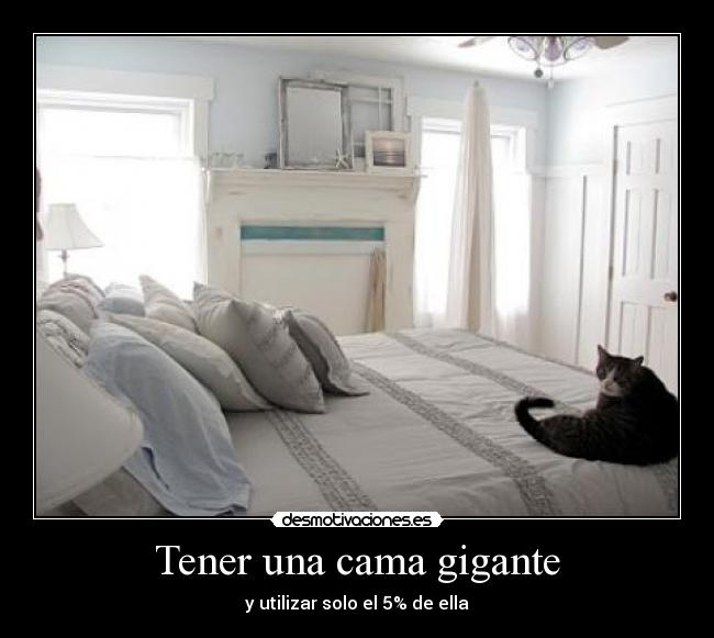 carteles cama desmotivaciones