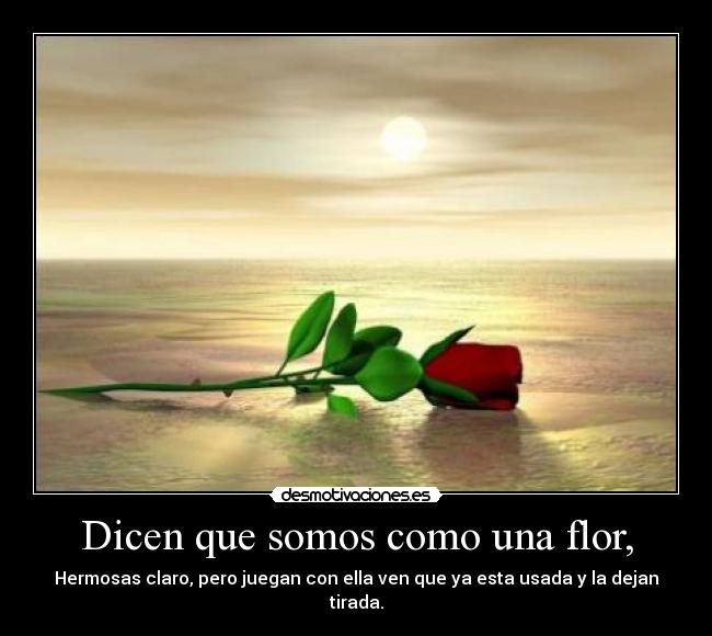Dicen que somos como una flor, - Hermosas claro, pero juegan con ella ven que ya esta usada y la dejan tirada.
