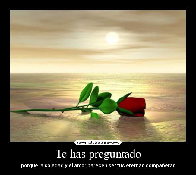 Te has preguntado - porque la soledad y el amor parecen ser tus eternas compañeras