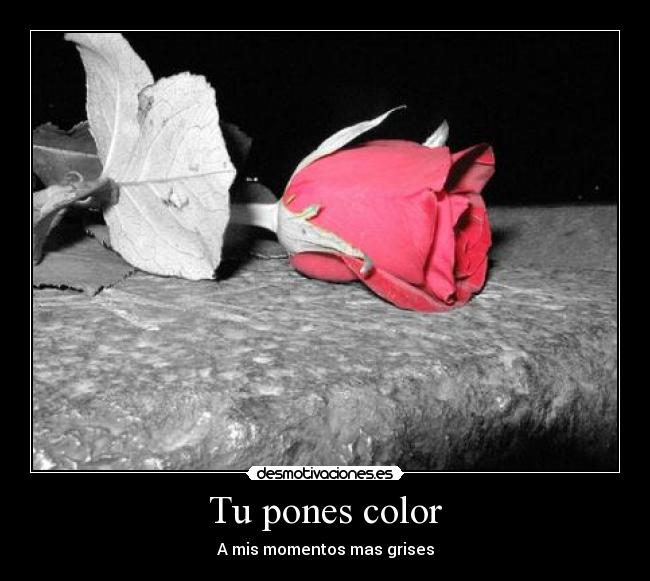 Tu pones color - 