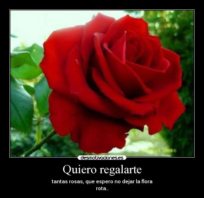 Quiero regalarte - 