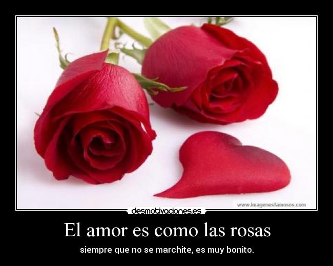 El amor es como las rosas - siempre que no se marchite, es muy bonito.