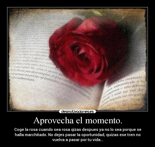 Aprovecha el momento. - Coge la rosa cuando sea rosa qizas despues ya no lo sea porque se
halla marchitado. No dejes pasar la oportunidad, quizas ese tren no
vuelva a pasar por tu vida...