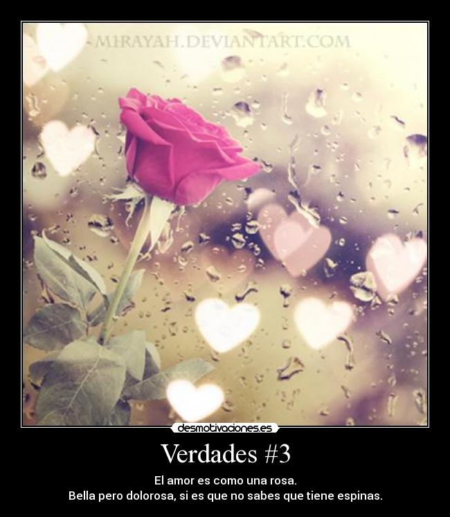 Verdades #3 - 