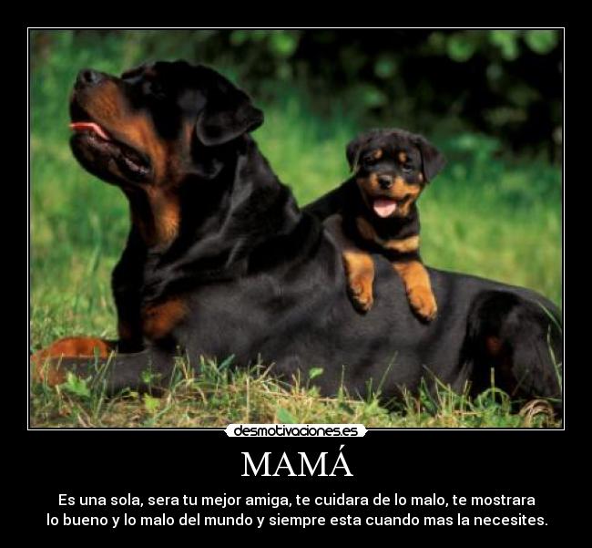 MAMÁ -