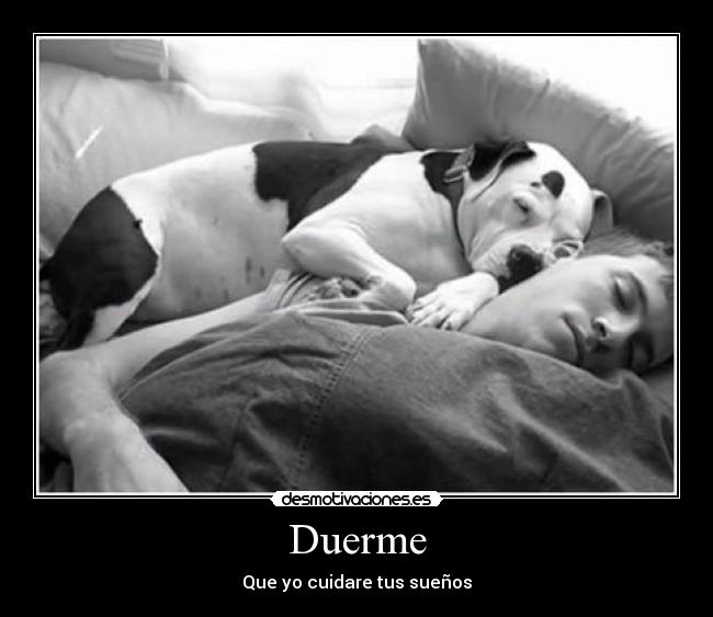 carteles boosteller desmotivaciones