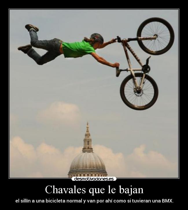 carteles scrufi desmotivaciones