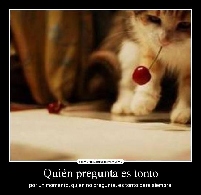 Quién pregunta es tonto - 