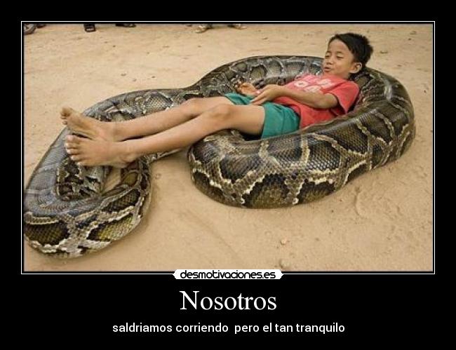 Nosotros - saldriamos corriendo pero el tan tranquilo