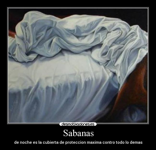 carteles sabanas desmotivaciones