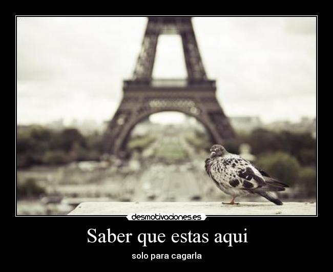 Saber que estas aqui -