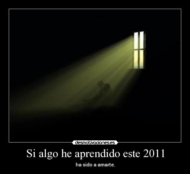 Si algo he aprendido este 2011 - 