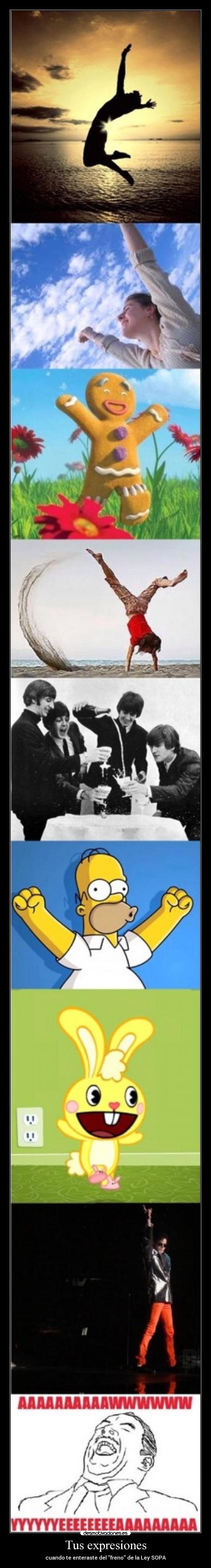 Tus expresiones - cuando te enteraste del freno de la Ley SOPA