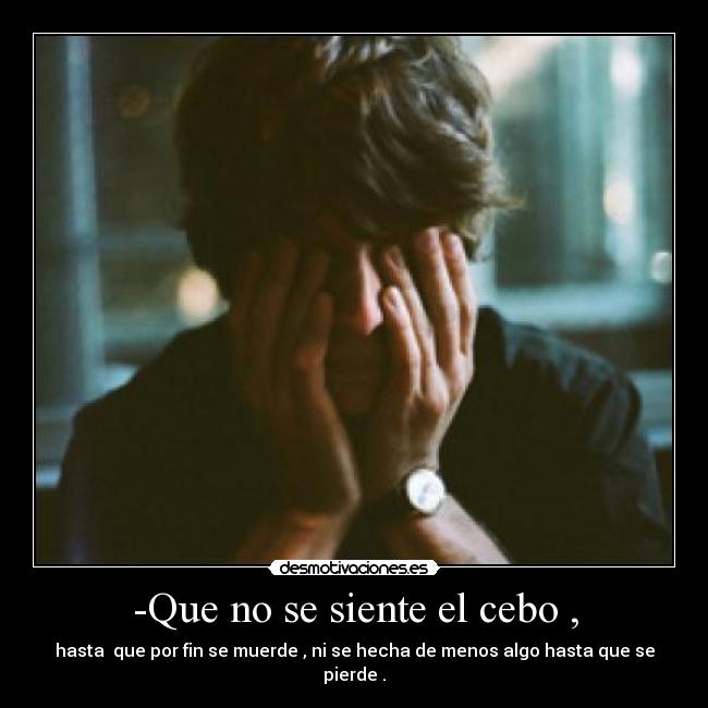 -Que no se siente el cebo , -