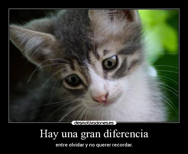 Hay una gran diferencia - 