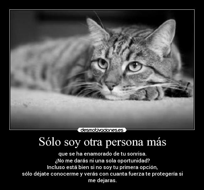 Sólo soy otra persona más -