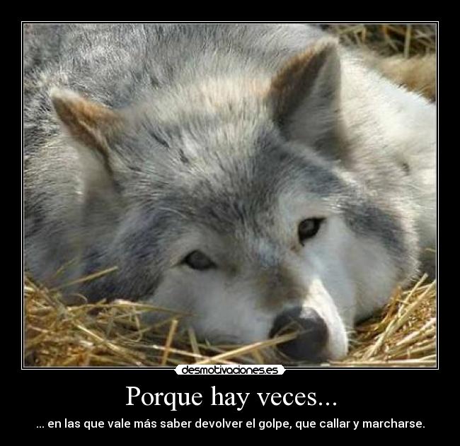 Porque hay veces... - 