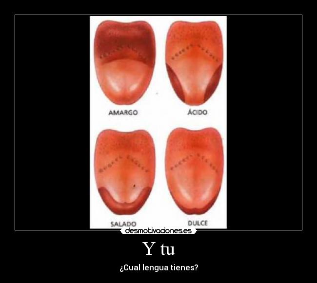 Y tu - ¿Cual lengua tienes?