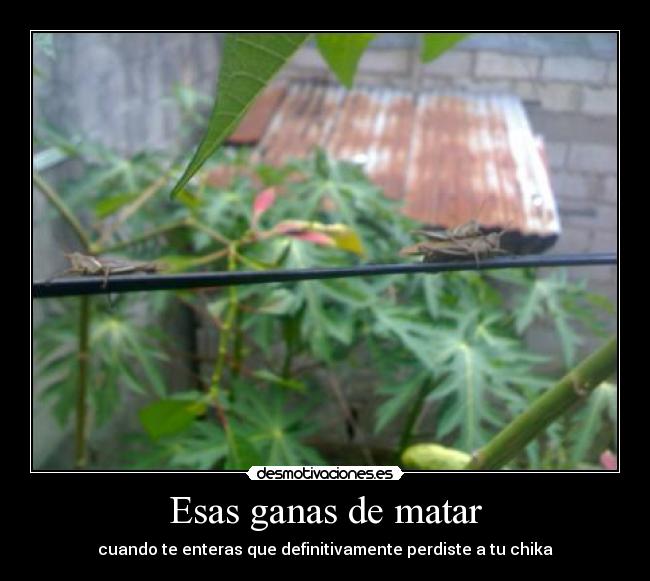 Esas ganas de matar -