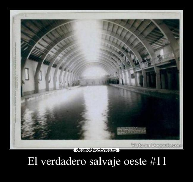 carteles sdfs desmotivaciones