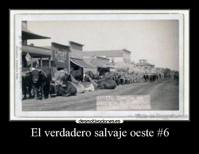 El verdadero salvaje oeste #6 - 