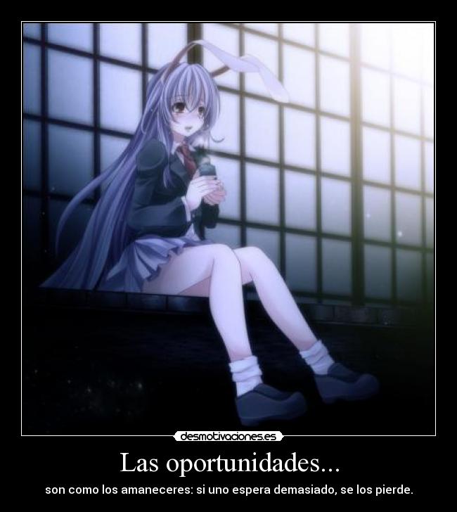 Las oportunidades... -