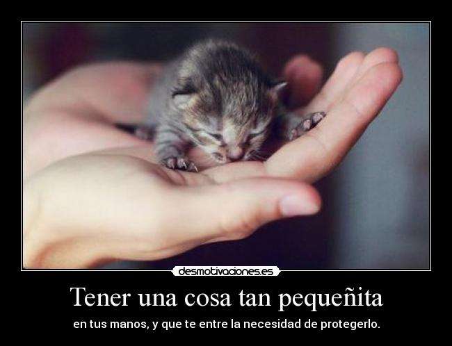 Tener una cosa tan pequeñita -