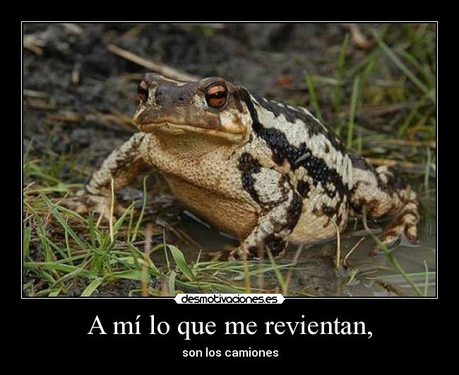 A mí lo que me revientan, - son los camiones