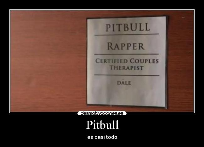 Pitbull - es casi todo