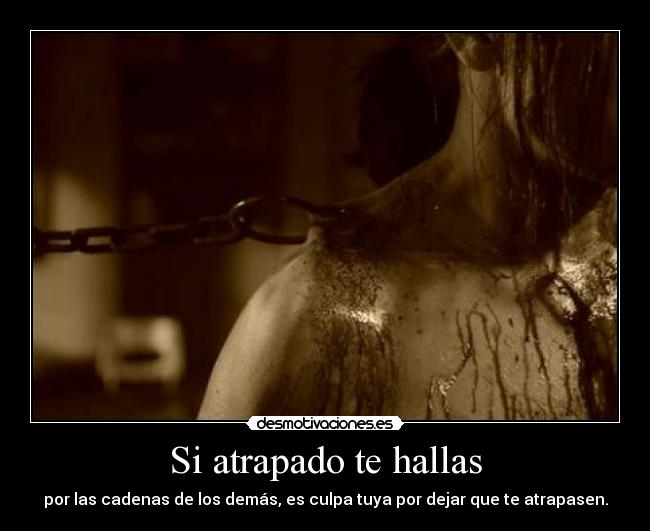 carteles idairita mientras hacia este cartel varias personas hacian spam por tuenti lol desmotivaciones