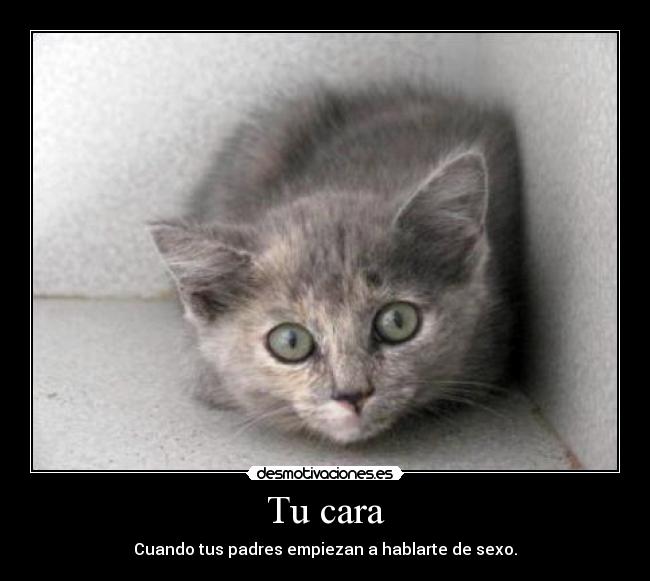 Tu cara - Cuando tus padres empiezan a hablarte de sexo.